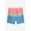image:imageONEILL Mens Hyperfreak Heat Stripe 20 BoardshortsCaptains Blue
