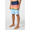 image:imageONEILL Lennox Stripe 21in Boardshort Sky 32 Multi