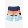 image:imageONEILL Lennox Stripe 21in Boardshort Sky 32 Multi