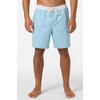 image:imageONEILL Mens Hermosa Ew Lined Trunk 17Stone Blue