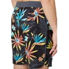 image:imageONeill Mens Cruzer 19Black  Hyperfreak Mysto Scallop 19