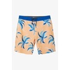 image:imageONeill Mens Cruzer 19Cantaloupe  Grove Flow Cruzer