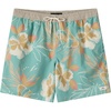 image:imageONEILL Mens Hermosa Ew Lined Trunk 17Green