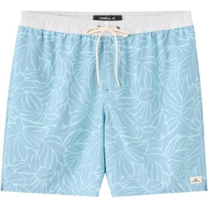 image:imageONEILL Mens Hermosa Ew Lined Trunk 17Stone Blue