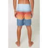 image:imageONEILL Lennox Stretch BoardshortsBlue Shadow