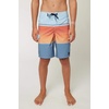 image:imageONEILL Lennox Stretch BoardshortsBlue Shadow