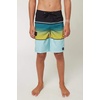 image:imageONEILL Lennox Stretch BoardshortsMint