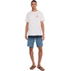 image:imageONEILL Mens Lennox Stripe 21 BoardshortsCaptains Blue