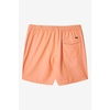 image:imageONEILL Mens Solid Volley SwimCantaloupe  Solid Volley