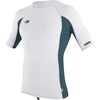 White/Teal/White