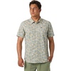 Light Khaki