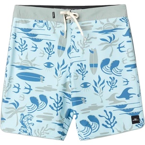 image:imageONEILL Mens Hyperfreak Mysto Scallop 19 Swim Sky Blue 32