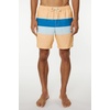 image:imageONEILL Mens Lennox Volley Swim Trunks  17 Inch Inseam Boardshorts for Men with Elastic Waist and PocketsCantaloupe  Hermosa Volley