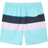 image:imageONEILL Mens Lennox Volley Swim Trunks  17 Inch Inseam Boardshorts for Men with Elastic Waist and PocketsTur