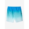 image:imageONEILL Mens 20 Inch Fade SSeam Boardshorts  Quick Dry Swim Trunks for Men with Fabric and PocketsAqua  Sseam Fade